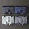 underwear pcs