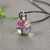 Mode Papillon à fleurs séchées lumineuses Boule de verre pour femme Collier de corde Pendentif Collier de corde pour femmes Strip Cuir Cuker XY438