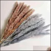 Decorative Flowers & Wreaths Festive Party Supplies Home Garden 30Pcs Gedroogde Bloemen Pampas Gras Natuurlijke Planten Boeket Lagurus Ovatu