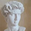 David Head Portraits Bust Bust Gypsum Statue Michelangelo Buonarrarroti Скульптура Домашний декор Ремесло Эскиз практики L1239 54 S2