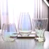 Vases Creative Home Wine Glass Flower Decoration Dried Hydroponic INS Style Stained Vase