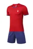 Granada Club de Futbol Men's Tracksuits lapel sports suit Back mesh breathable exercise cool outdoor leisure sport short-sleeved shirt