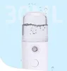 Facial Nebulizer Steamer Nano Mist Sprayer Small Pill Moisturizing Handheld Portable Hydrator Skin Care Face Sprays Tools GYL14