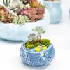 Blue Ocean Series Fleshy Flowerpot Vase European Style Shell Fish Shape Ceramic Bonsai Plant Pots Succulents Planter for Desktop 220211
