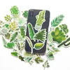 Pack of 60Pcs Green Plant Monstera Banana Leaf Stickers For Luggage Skateboard Notebook Helmet Water Bottle Car decals Kids Gifts