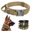 dog collar army
