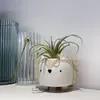 Strongwell succulente vaso di fiori in ceramica riccio cucciolo animale carino vaso di fiori creativo mini giardino camera da letto desktop regalo di compleanno Y200709