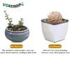 Planters & Pots 2PCS Modern Automatic Watering Flower Pot Lazy Water Absorption Plastic Resin Succulent Planting