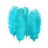 White Ostrich Feather 25-30cm（10-12インチ）ダチョウの羽毛羽根羽ばたいウェディングセンターピースパーティーイベント装飾お祝い装飾多数