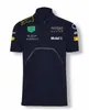 F1 Team Racing Polo Jersey Poliestere Poliestere Asciugatura per auto T-SHIRT T-SHIRT SAME STYLE Personalizzazione