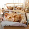 Zestawy pościeli Piękne zestaw kotów dla zwierząt Kotek z Kittatem drukowana okładka Pojedyncza podwójna kołdry typu queen -size devets