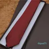 Commercio all'ingrosso 18 cravatte casuali degli uomini classici di marca del legame del legame di seta del legame di seta di stile 100%.
