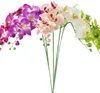 un fiore di orchidea finto Phalaenopsis Orchidee di medie dimensioni Simulazione artificiale Orchidea 5 colori Fiori finti per matrimonio floreale