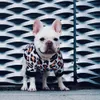 Sonbahar ve Kış Köpek Ceket Yumuşak Sıcak Köpek Giyim Tasarımcı Küçük Orta Köpekler için Evcil Hayvan Giysileri Fransız Buldog2530