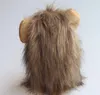 Kostym Pet Wig Lion Parykar Huvudbonader med öronlockshatt Hår Cosplay Party Tillbehör för katthund Justerbar för små medelstora