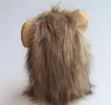 Perruque pour animaux de compagnie, perruques de lion, couvre-chef avec bouchon d'oreille, chapeau, accessoires de fête de Cosplay de vacances pour chat et chien, réglable pour petits, moyens et grands