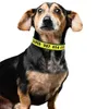 Targhetta identificativa ricamata Collari per cani personalizzati per cani Collare per cani di taglia grande Targhette per indirizzo per cani Nylon personalizzato 210712