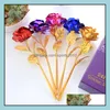 Guirnaldas de flores decorativas Suministros festivos para fiestas Home GardIngolden Lámina Ribete flor Long Tallo de amor Soporte Soporte de rosa Base para San Valentín M