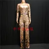 gold compumsuit costume.