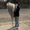 80cm Pampas Grass Natural Reed Wedding Dried Flower Large Ceremony Modern Home Decoration Valentines Day Fast Shipping