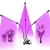 5V USB LED Grow Light Full Spectrum LED Buis Dimbare Clipon Fitolampy Timer Phyto Lamp voor planten Bloemen Binnen Grow Tent Box Fitolamp