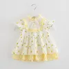 Prenses Bebek Kız Elbise Parti Doğum Günü Elbise Dantel Baskı Vaftiz Gelinlik için 0-3Y Yenidoğan Giyim Q0716