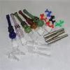 Nectar de verre de narguilés avec des pointes de quartz de clou de viande de 14 mm Keck Clip Reclaim Nectar Dab Straw Pipes