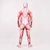 Attack on Titan Costume Colossal Titan Superhero Cosplay Costumes Men Male Boys Zentai Halloween Bodysuit Adults Kids Q0910