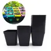 20/50 stks Mini Plastic Black Color Flower Square Pots Garden Planters Small Planting Nursery Pot voor succulente planten Veg 210712
