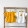 Korean baby jumpsuit printed summer baby triangle climbing short sleeve Bodysuits 210701