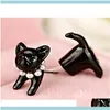 3d Cute Black Cat Piercing Stadniny Kolczyki dla kobiet Dziewczyny i mężczyzn Pearl Channel Kolczyk Biżuteria Whol Sqcrct Drop Dostawa 2021 9VAKC