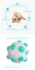 Forniture per piccoli animali Interactive Voice Toy Ball Dog Molar Anti Mordere Spazzolino da denti Gum Stick da masticare