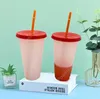 24oz Color Changing Cup Magic Plastic Drinking Tumblers with Lid and Straw Reusable Clear Colors Cold Cup Summer Beer Mugs DHP30 50pcs