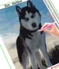 HOMFUN 5D bricolage broderie complète "Husky chien paysage animal" diamant peinture point de croix strass décoration de la maison