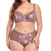 NXY sexy setbeauwear brasil  lingerie feminina cueca set taglia grande calcinha 46 48 50 52 54 56  reggiseno ultra sottile plus size D 1128