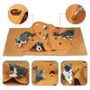 Кошачья мебель игра играет на коврик для домашних животных, играет коврики складываемые домашние животные с царапин