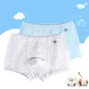 Barn underkläder pojkar trosor 95% bomull Boxer Barn Briefs 2 stycken för pojke Shorts Baby Panties Kids Underkläder 4-16 T 211122