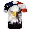 eagle t-shirt 3d