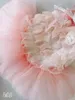 Hundkläder 2021 Begränsad liten Facey Lace Decor Dresses Djurkläder Färgkjolar med blommor Dekoration Tutu för husdjur Tillbehör