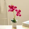 装飾的な花の花輪の花輪1ピースの澄んだテクスチャワイドアプリの魅力的な卓球の中心部の偽の花の人工的な鉢植えの植物