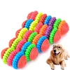 pet dental chews