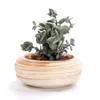 SUNE 6 in Set 3 Inch Ceramic Wooden Pattern Succulent Plant Pot Cactus Plant Pot Flower Pot Container Planter Gift Idea Y2007237879537