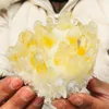 Circa 700 g di rari esemplari di cristallo di quarzo fantasma giallo nuovo cluster Vug da collezione279Y