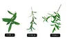 3 tipi di rami di ulivo vivide foglie di ulivo verde artificiale per decorazioni di nozze domestiche fiori finti piante decorative natalizie