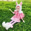 pink rabbit doll