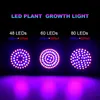 220V LED成長光フィトランプのフルスペクトルLED植物成長ランプは花の苗の植物の温室水耕植物のための球根を育てる