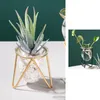 Vazen bloemvaas met metalen frame hydrocultuur plant glas propagatie station keuken voor home decor bloempot