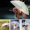 Dog Apparel Legendog Est Handle Transparent Pet Umbrella With Leash For Rain Walking Umbrellas Waterproof Products9285854