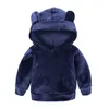 Conjuntos de roupas de crianças Calças de camisola com capuz ternos meninos meninas pleuche esportes desgaste primavera outono hoodie quente com calças de design de orelha definir WMQ1353