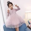 Retail Spring Autumn Baby Girls Dresses Lace embroidery Splice gauze Long Sleeve Dress Children Clothing E316964 210610